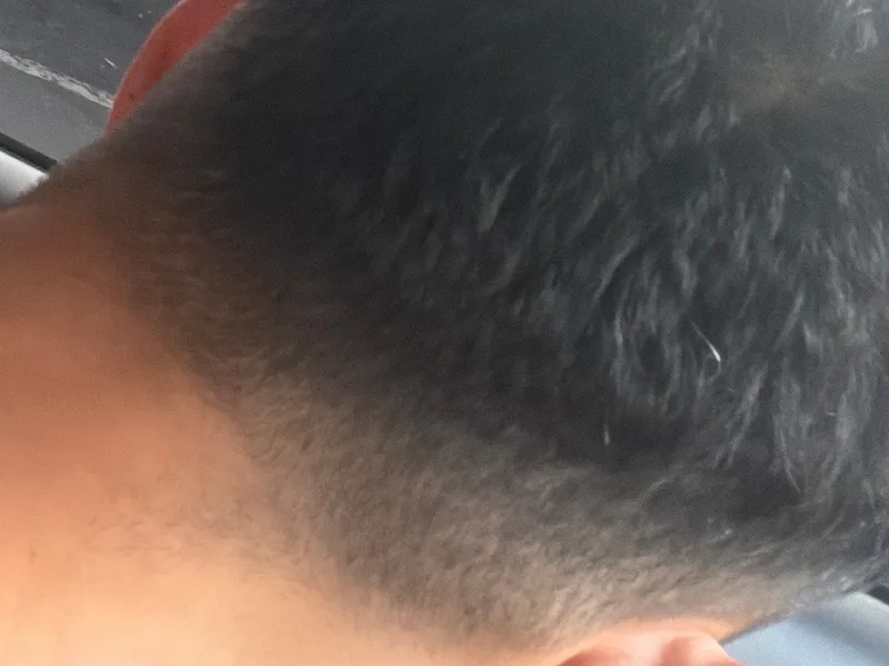 Corte
